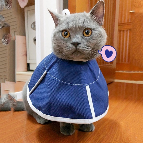 Mjuk katt återhämtningskrage, kattkonkrage, non-woven tyg Elizabeth krage, skyddande sår läkning krage speciellt utformad för katter