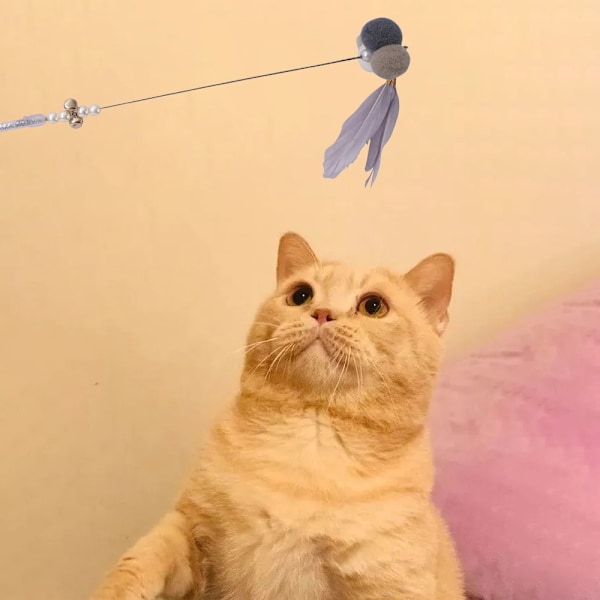 Kattfjäderleksak, interaktiv kattretrakterbar fiskespö, rolig katt