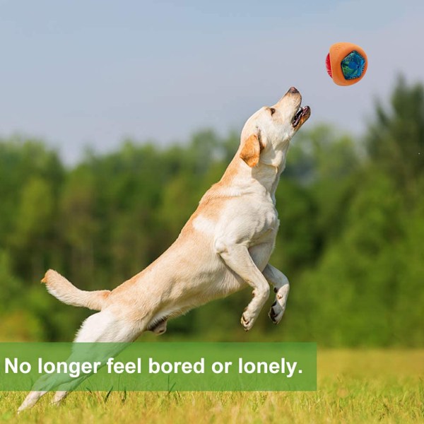 LED-hundboll, studsande aktiverad ljusboll för hund, lyser upp för natt lek husdjur hundboll, interaktiv hund leksak, färgförändrande LED