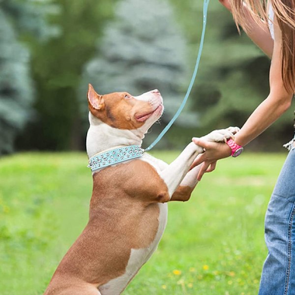 Justerbart brett spik hundhalsband, svampnit PU läder katt hundhalsband, hållbart spik husdjurshalsband