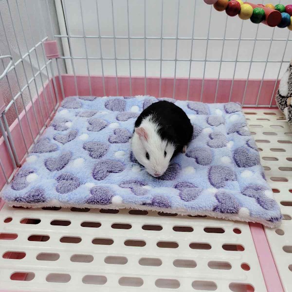 5 kpl Rakkaus Lemmikkipehmuste Valkoinen/harmaa hamsteri Totoro Jänis Lämmin Pehmuste Lemmikkipehmuste Hamsteri nukkumispehmuste