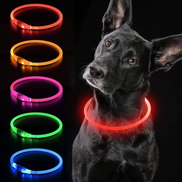 LED-hundhalsband Ljus hundhalsband USB uppladdningsbar vattentät husdjur