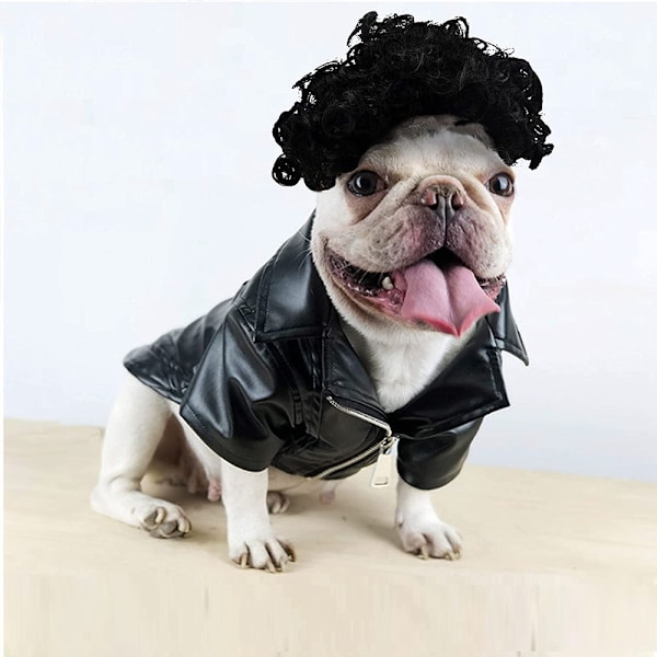 Morsom Hundekatt Cosplay Parykk, for Halloween, Jul, Fester, Festivaler, Hundeparykker for Små, Mellomstore og Store Hunder