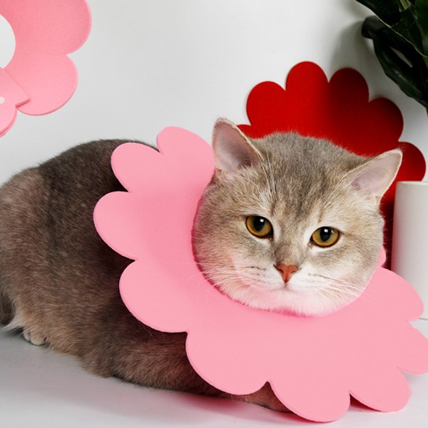 2PCS Katt Återställningskrage - Söta Blomster Hals Katt Kottar Efter Kirurgi, Justerbar Katt Krage (Lila+Rosa)