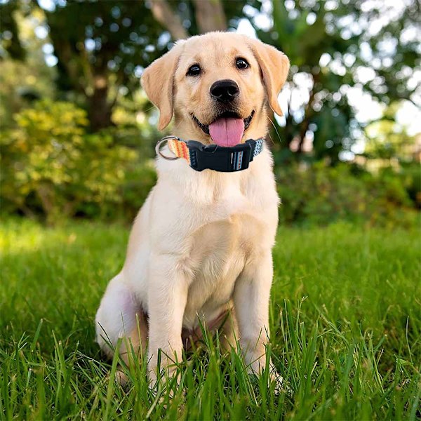 Timos hundhalsband, lämplig för små och medelstora hundar, justerbart mjukt hundhalsband med