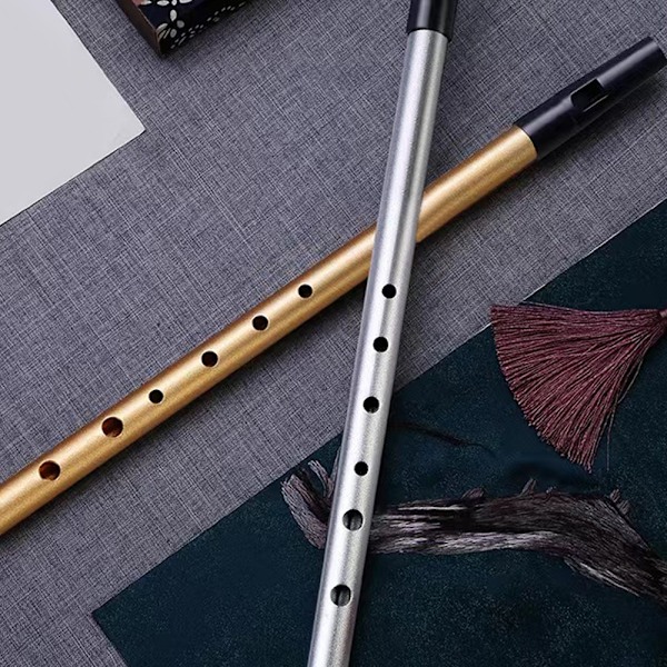 Irsk Tin Whistle i C/D-toneart, Irlands Klassiske Keltiske Folkeinstrument | Lett å lære, for Nybegynnere