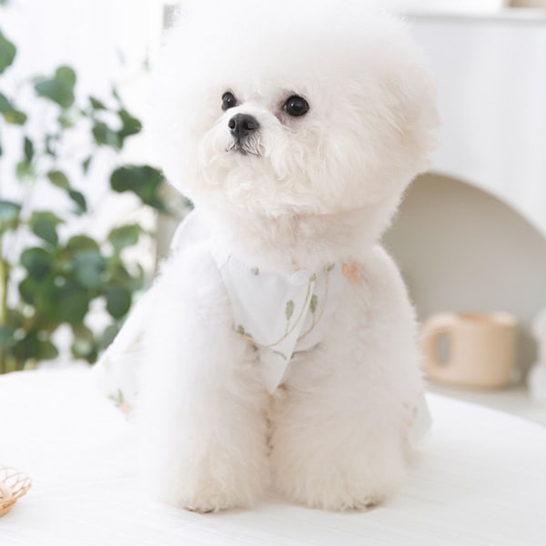 Hundekjole Hundeprinsesse Kjole Antrekk Valpehund Skjørt Blonder Skinnende Broderte Sløyfe Kjæledyrklær Jente for Bryllup Bursdagsfest Katt Klær