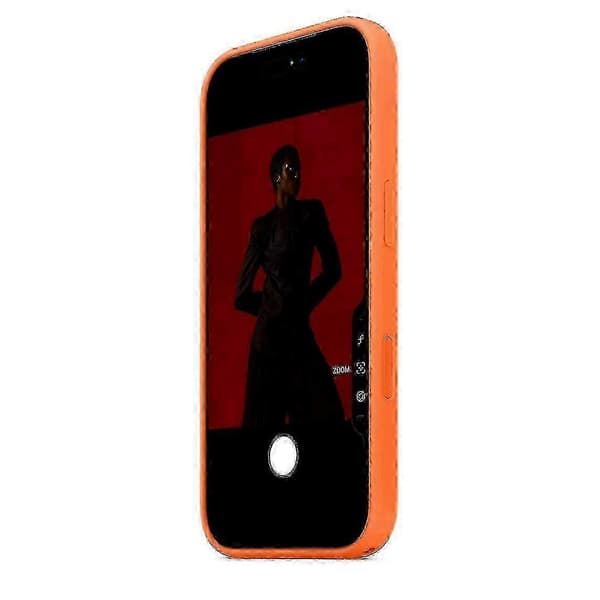 Til iPhone 17 Pro-etui kompatibel med MagSafe flydende silikone telefonbagside Style A[TT] Style A Multicolor