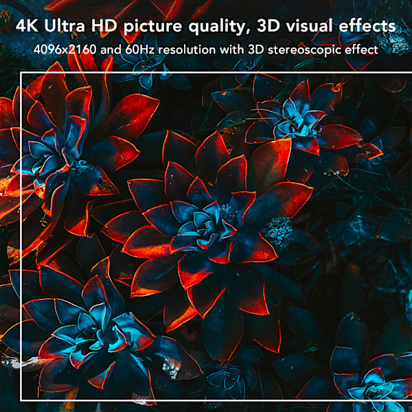 4K HD Multimedia Interface-kabel 18Gbps Optisk HD Multimedia Interface till HD Multimedia Interface Kabel 10m / 32.8ft