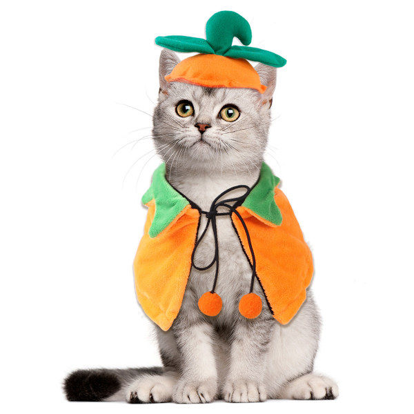 1 Sæt Vendbar Kappe til Kæledyr Halloween Græskar To Sider Bærbar Hundekappe Kæledyr Kat Sød Halloween Smykke