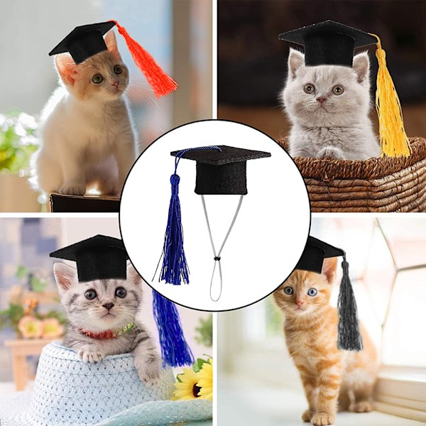 Mini Graduationshuer til Smådyr Mini Bachelorhat til Marsvin
