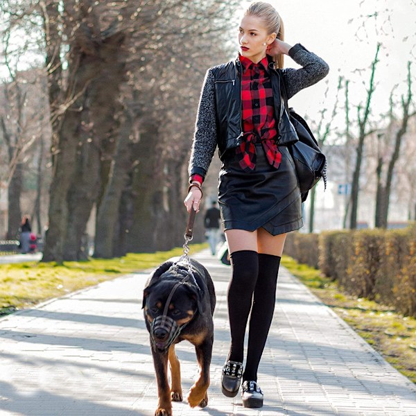 Hunde-kort trafikksele i lær med flettet design