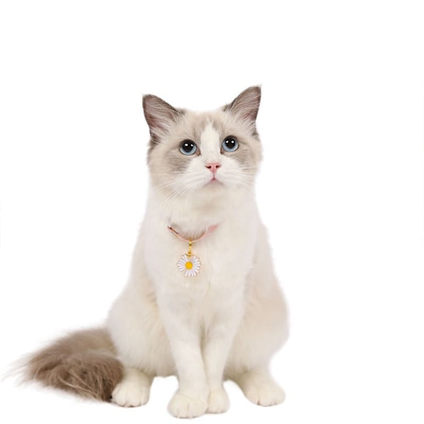 Kattkrage, hundkrage, läder slips och hänge justerbart halsband för katter och valpar