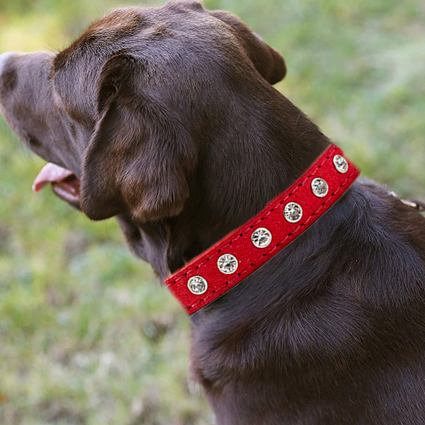 Bredd och tjockt lädernitat hundhalsband. Lämplig för 14\" till 17\" nacke, medium variation.