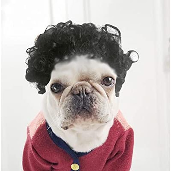 Morsom Hundekatt Cosplay Parykk, for Halloween, Jul, Fester, Festivaler, Hundeparykker for Små, Mellomstore og Store Hunder