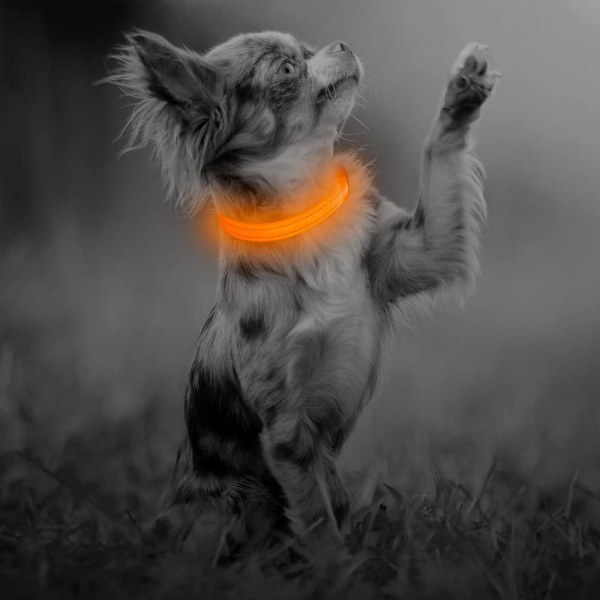 Hunde LED genopladelig lysende halsbånd justerbar reflekterende lysende halsbånd
