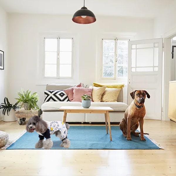 Hundepyjamas til små hunde Bløde hvalpe Onesie Kat Jumpsuit Komfortable kæledyrs tøj (Løve)