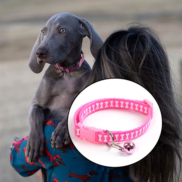 Native Pup Thin Blue Line -koiranpanta