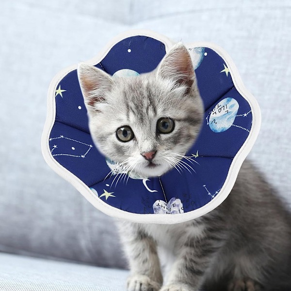 Mjuk katt återställningskrage, skyddande justerbar husdjurskonkrage för efter operation, bekväm lätt Elizabethan krage