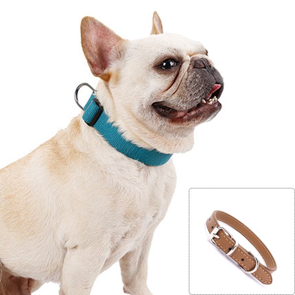 Hundhalsband Läder Valphalsband Justerbara Hundhalsband för Små Hundar Flerfärgad Husdjurshalsband