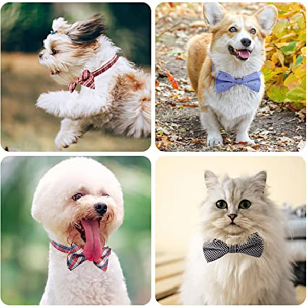 Halsband för hundar, husdjurshalsband med justerbar hundfluga, husdjurshalsband för pojkar och flickor
