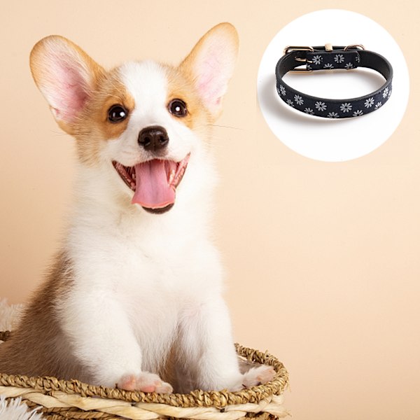 Spännen hundhalsband bältespännen Daisy spridda svart vit gul