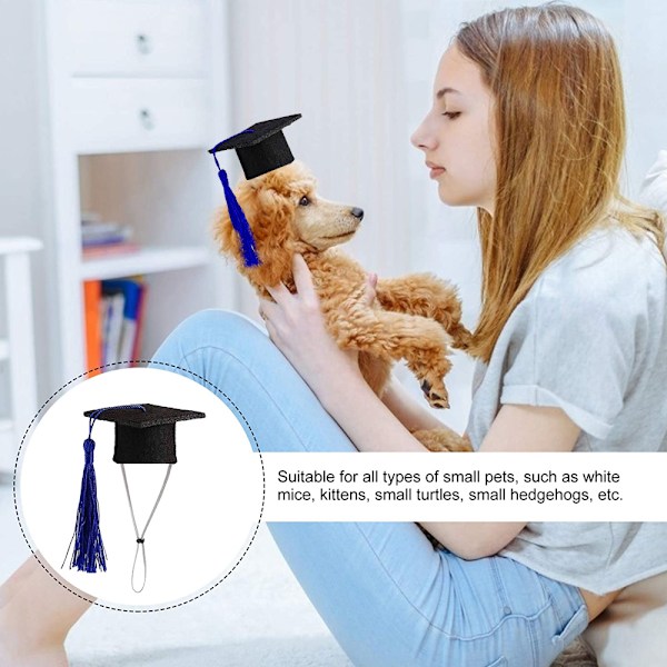 Mini Graduationshuer til Smådyr Mini Bachelorhat til Marsvin