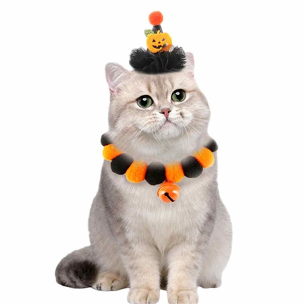 Halloween halsband plysch boll hatt set Husdjur hatt Husdjur katt fest husdjur kostym Plysch fest katt krage