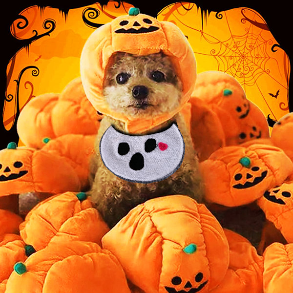 Koiran Halloween-hattu Kissankurpitsahuttu Pennun juhla Roolipeli temppuasu Lemmikin söpö pääpanta