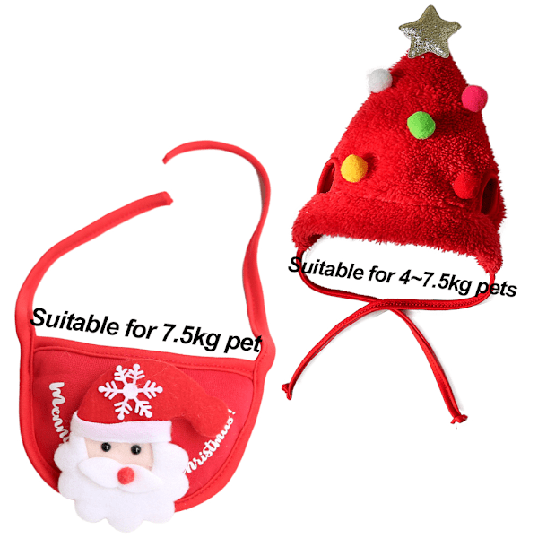 Katt Teddy Pomeranian Höst/Vinter Juldräkt