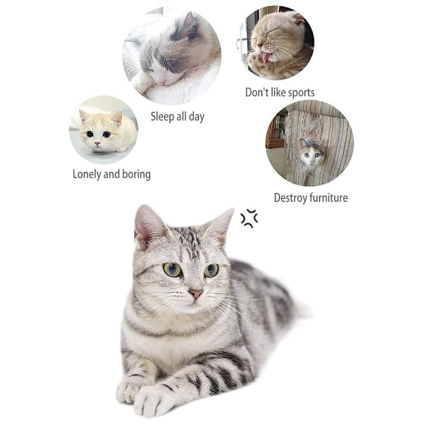 Sju delar presentask för katt leksaker och pinnar