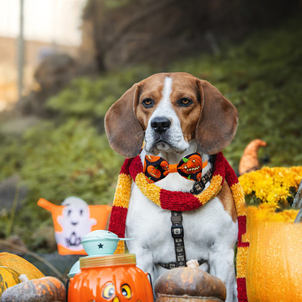 4 stk. Halloween Kæledyrsdekoration Halloween Kæledyrstilbehør Halloween Sløjfekrave Hund Kat Sløjfedekoration