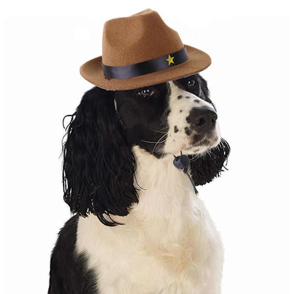 Hatt for kjæledyr, hund, stilig femspissstjerne-mønster, cowboyhatt, katt, morsom hodeplagg