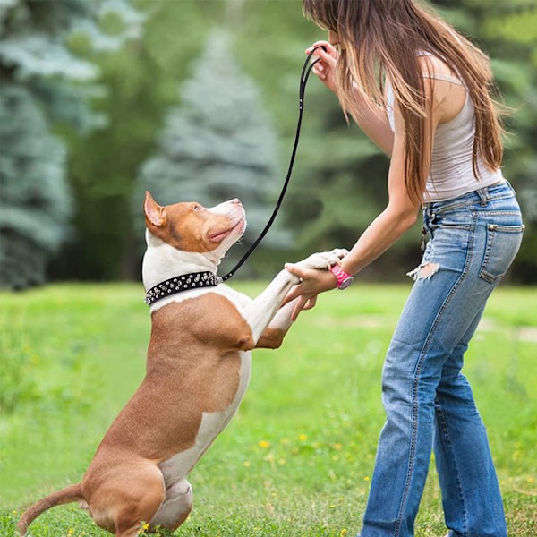 LOVPE enkel rad guld nitar läder hund/katt halsband med guld strass spänne