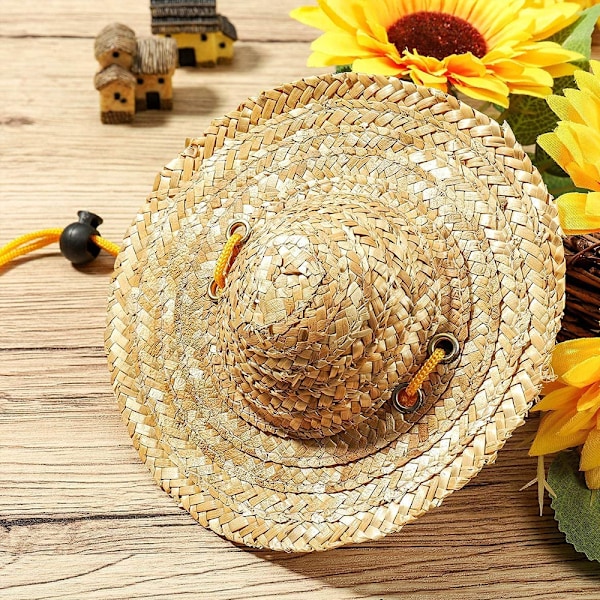 Lemmikkien Sombrero-Olkihattu Säädettävä Havaiji Puutarha Auringon Kauha Hattu Pienille Koirien Pennuille Kisseille