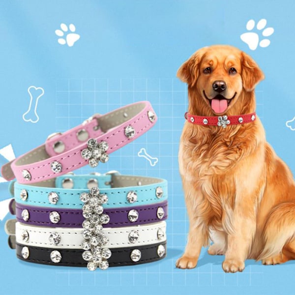 Söt bländande gnistrande elegant snygg dödskalle diamant kristall strass läder miniatyr hund och katt krage