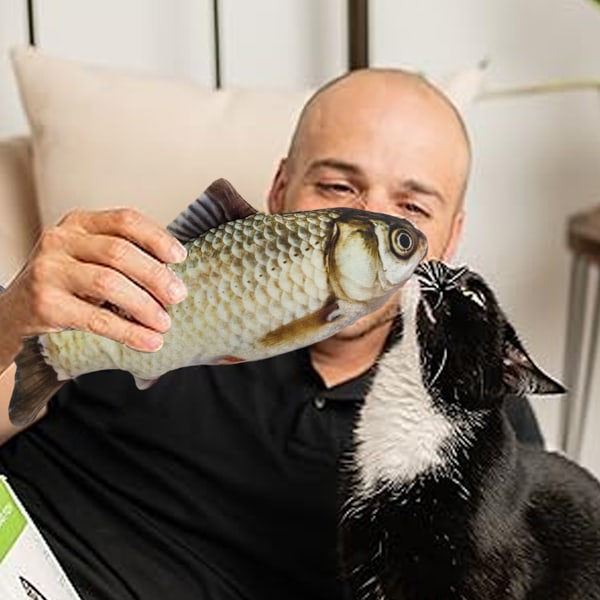 Katt leksaker Flopping fisk med SilverVine och Catnip, Flyttande katt kicker, Floppy Wiggle fisk för små hundar