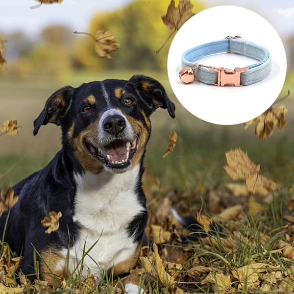 Halsbånd til hund, fløjlshalsbånd med aftagelig sløjfe