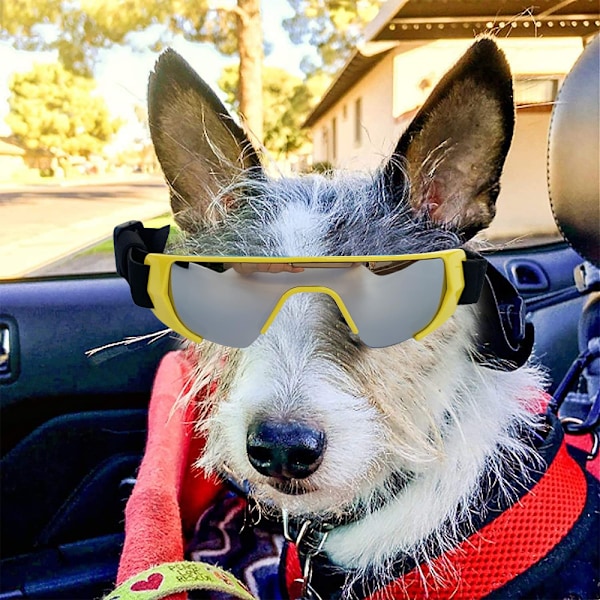 Hundebriller, Øjenbeskyttelse til Små Hunde Solbriller Vandtætte Vindtætte UV-Beskyttelse med Justerbar Rem