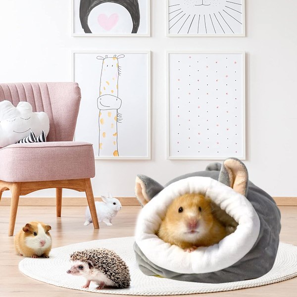 Tilbehør til hamster, marsvin, pinnsvin, chinchilla, ilder, rotte, gerbil - Seng, hus, bur