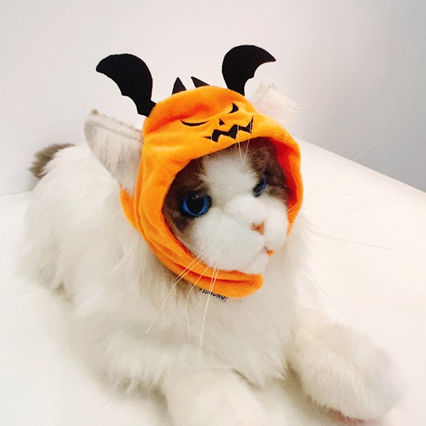 Hund Halloween Hatt Kattunge Pumpa Fladdermus Mössa Valp Fest Cosplay Kostym Husdjur Söt Huvudbonad Festival Huvud Tillbehör för Katt och Små Hundar