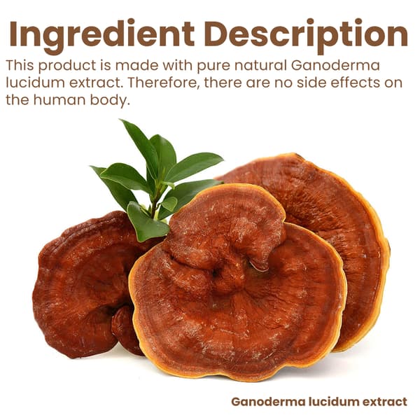Reishi Essence Cream: Skånsom opplysende og mattende daglig løftende ansiktskrem
