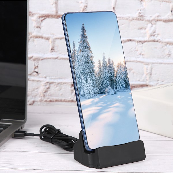 1 x Type-C Charging Base