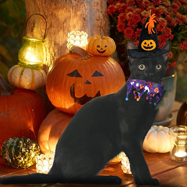 Sæt med 2 Halloween-dyresæt Halloween-dyredekorationskostume Dekoration Ferie