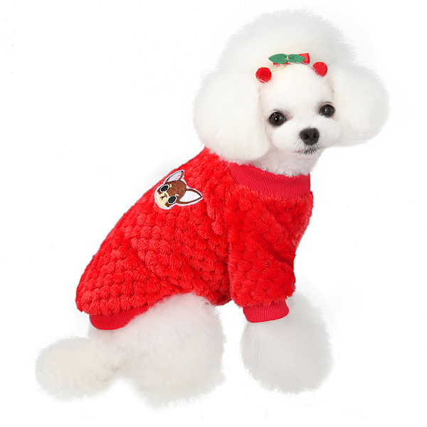 Hundeklæder Vinter kæledyrs tøj Kat lille hund kæledyrs tøj To ben sweater