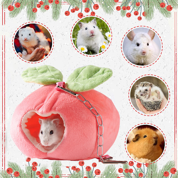 Marsvin Hule Hus Seng, Kanin Egern Chinchilla Hamster Pindsvin Rede