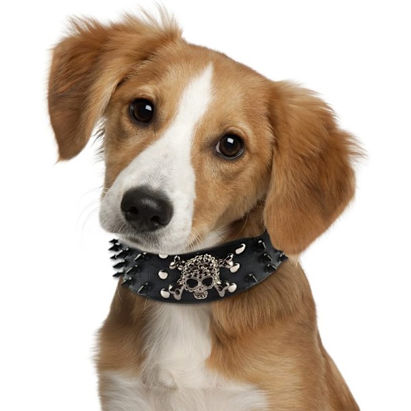 Berry Spike Läder Hundhalsband - 3 Rader Bullet Nitar Nitar PU Läder - Cool Skelett husdjurstillbehör