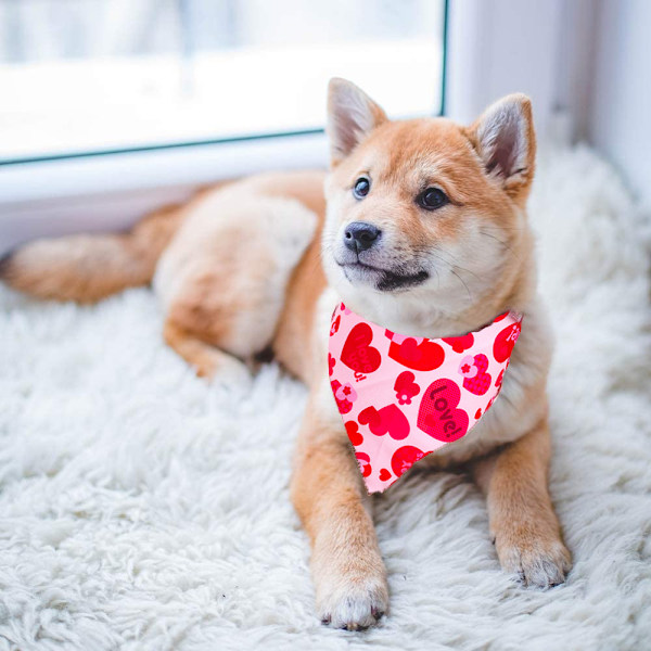 2-pack Valentinsdag hundbandana vändbara trekantslappar halsduk accessoarer för hundar katter husdjur små