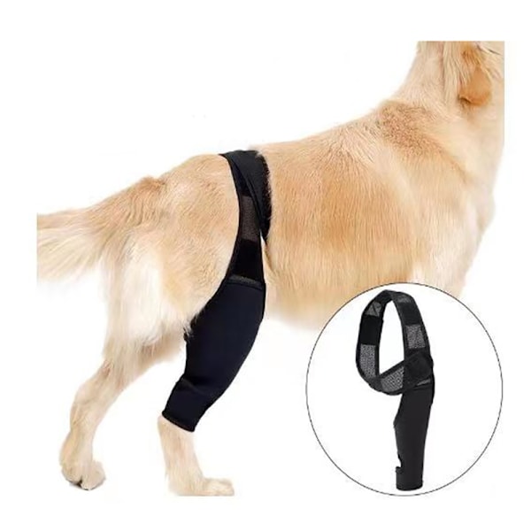 Hundledstöd för hundar Hundknäskydd Hundbenskydd för trasig knäskål Dislokationssårvård Patella Knäsår Förhindra slickning