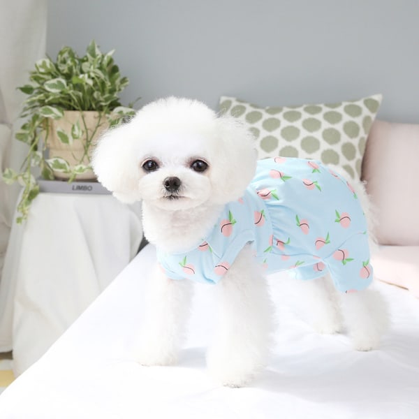 Katte Kirurgisk Gendannelsesdragt, Kæledyrs Kirurgisk Onesie Efter Operation, Kæledyrs E-krave Alternativ til Hund (Blå)